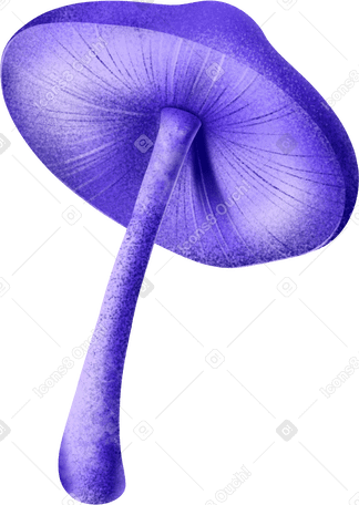 mushroom PNG、SVG
