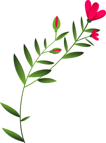 curved twig with pink flowers and buds PNG, SVG