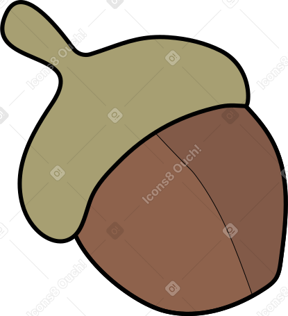acorn PNG, SVG