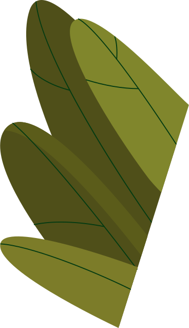 bush PNG, SVG