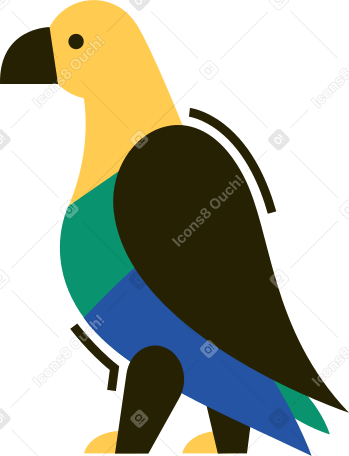 鹦鹉 PNG, SVG