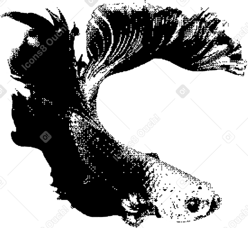 Fisch PNG, SVG