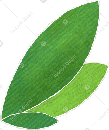 two dark and one light green leaf Illustration in PNG, SVG