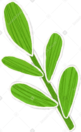 small green branch with leaves Illustration in PNG, SVG