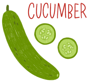 A cucumber, cucumber slices and lettering PNG, SVG