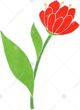 large blooming red flower on a long stalk with a green leaf Illustration in PNG, SVG