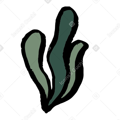 seaweed Illustration in PNG, SVG