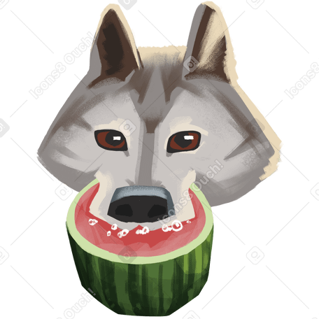 wolf eating watermelon PNG, SVG
