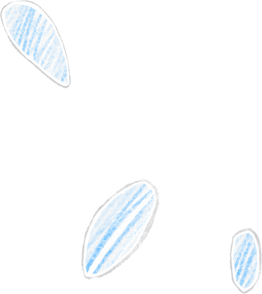 three white petals PNG, SVG