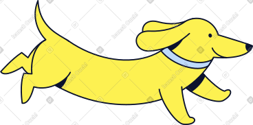 Yellow dachshund PNG, SVG