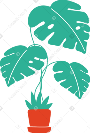 green monstera in a red pot PNG, SVG