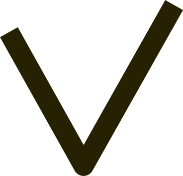 Marca de verificación PNG, SVG