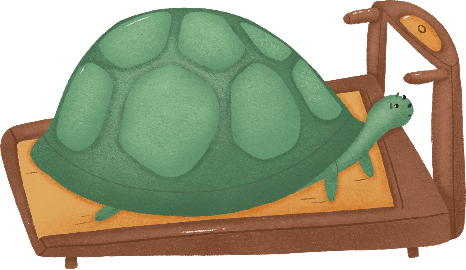 カメ のpngとsvgでのイラスト
