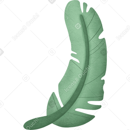 Palm leaf Illustration in PNG, SVG