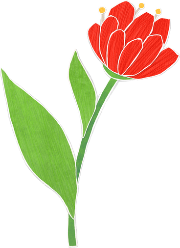 large blooming red flower on a long stalk with a green leaf PNG, SVG
