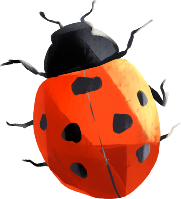 Ladybug в PNG, SVG