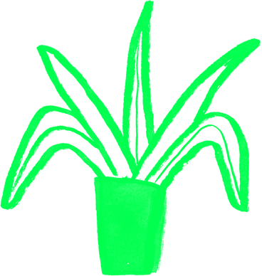 green houseplant PNG, SVG