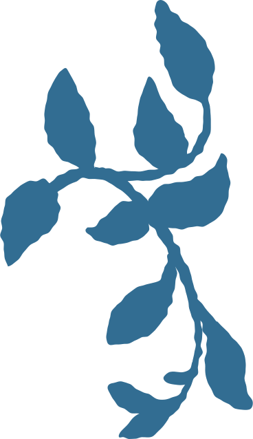 Branche avec décoration de feuilles PNG, SVG