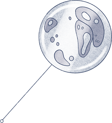 cells under the microscope PNG, SVG