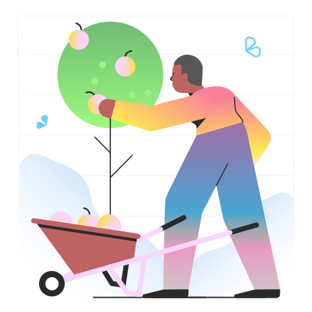 Man collecting apples from tree Illustration in PNG, SVG