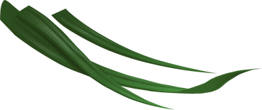 three thin grass leaves PNG, SVG
