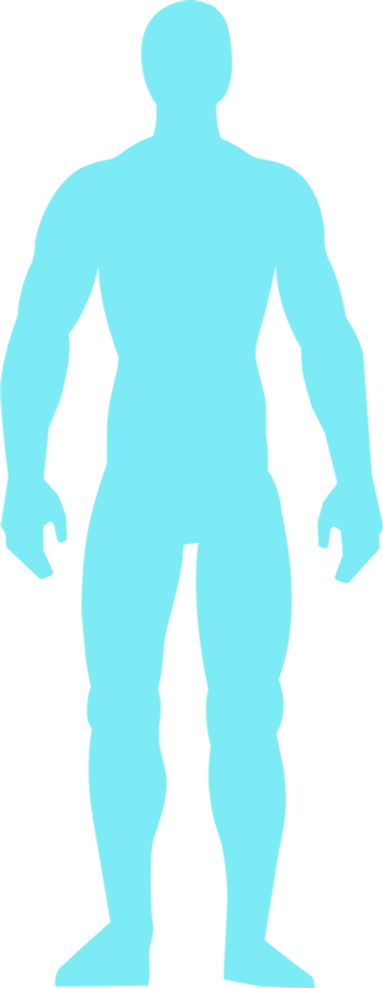 style diagram of the human body Vector images in PNG and SVG | Icons8 ...