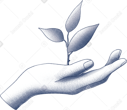 hand holding a sprout PNG, SVG