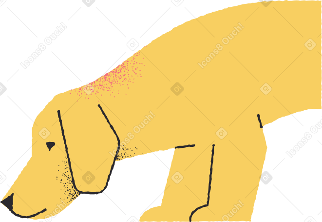 half yellow dog Illustration in PNG, SVG