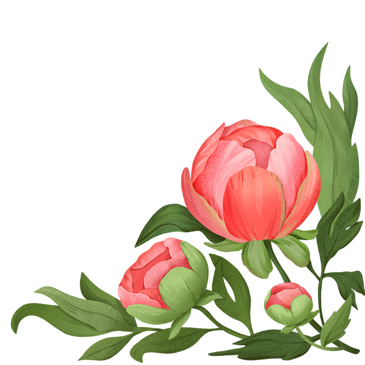 Иллюстрации Цветок в PNG и SVG 