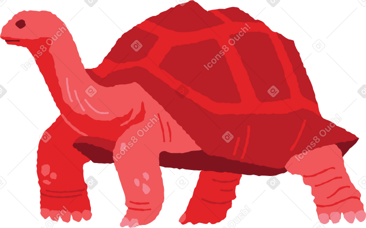 giant tortoise standing PNG, SVG