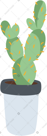 green cactus in a pot PNG, SVG