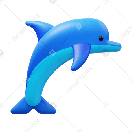 3D dolphin Illustration in PNG, SVG