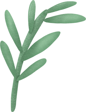 Palm leaf PNG、SVG