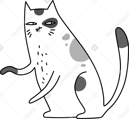 gato PNG, SVG