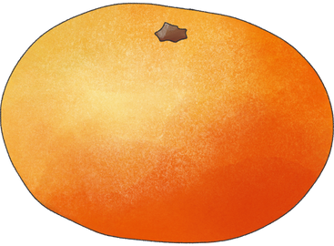 orange mandarin PNG, SVG