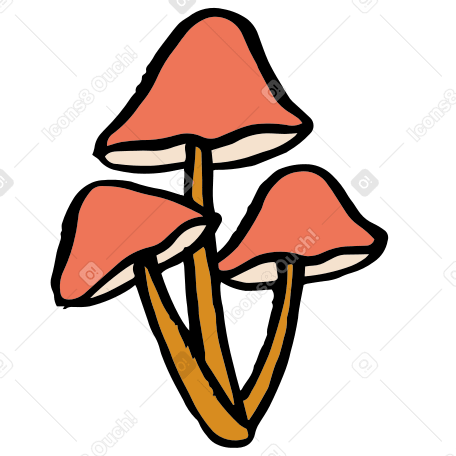 three mushrooms Illustration in PNG, SVG