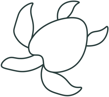 tartaruga PNG, SVG