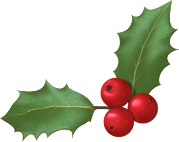 christmas holly PNG, SVG