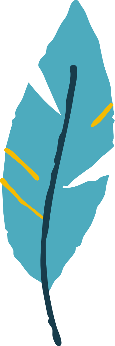 feather PNG, SVG