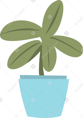 small palm tree in a blue pot Illustration in PNG, SVG
