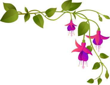 fuchsia flowers on a large corner twig PNG, SVG