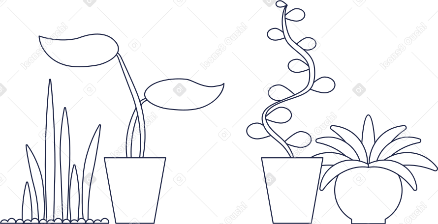 plants on the background Illustration in PNG, SVG