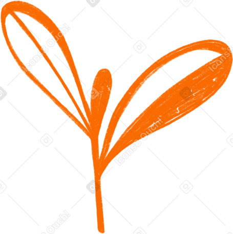 orange sprout PNG, SVG