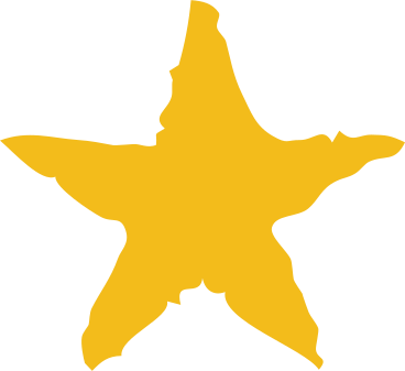 yellow star shape PNG, SVG