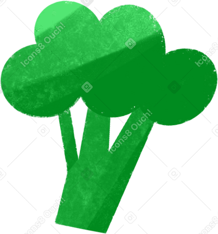 green broccoli Illustration in PNG, SVG