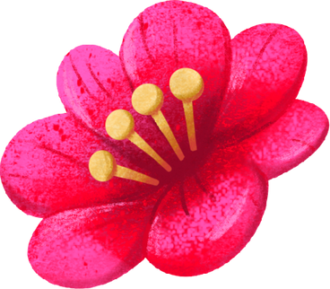 red blooming flower PNG, SVG