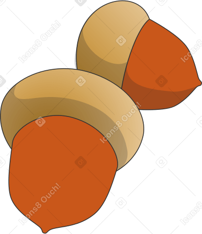 acorns PNG, SVG