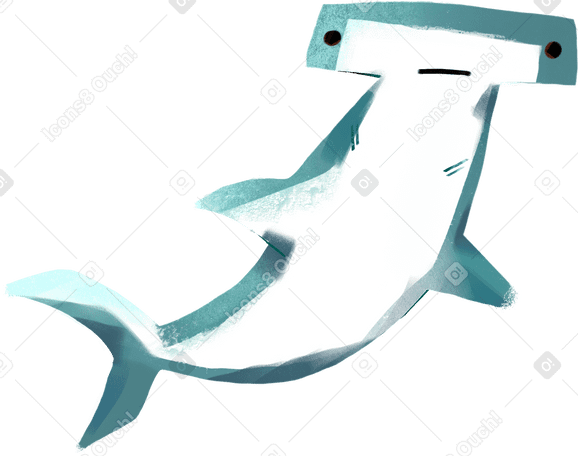 hammerhead shark Illustration in PNG, SVG