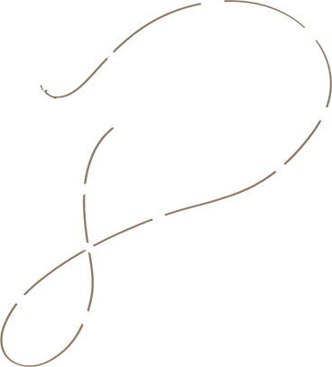 brown line PNG, SVG