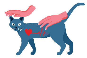 Hands petting and checking cat's heart rate PNG, SVG